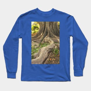 The long and winding root Long Sleeve T-Shirt